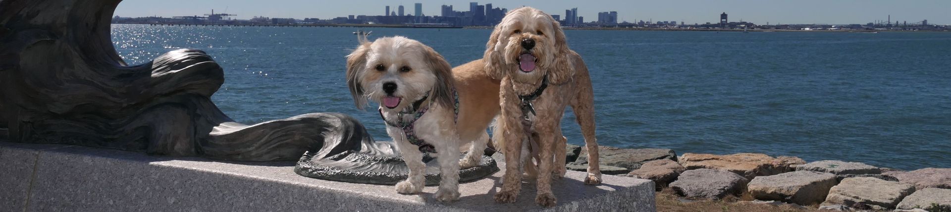 Mandy and Lexi Massachusetts Banner