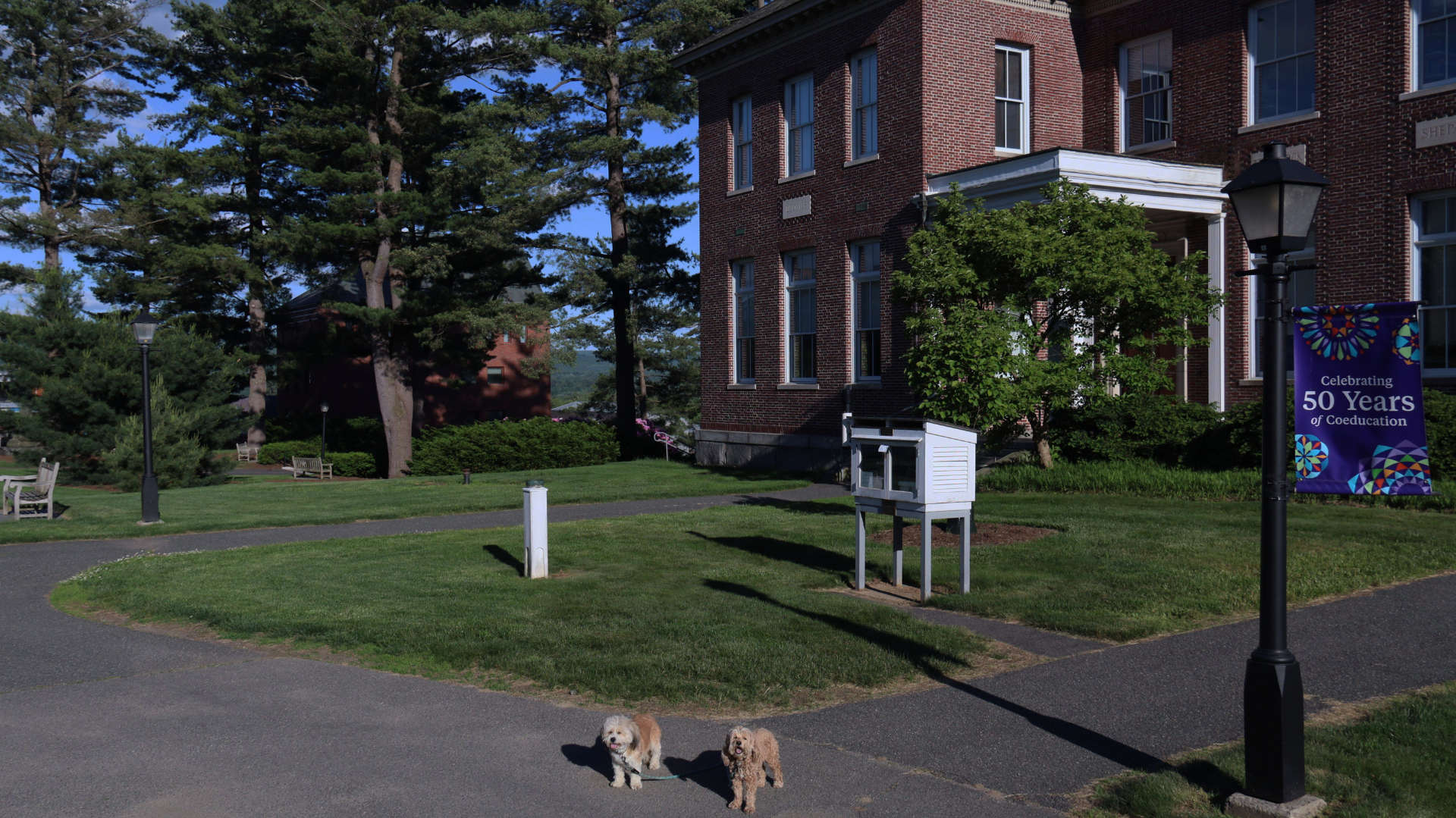 Amherst111