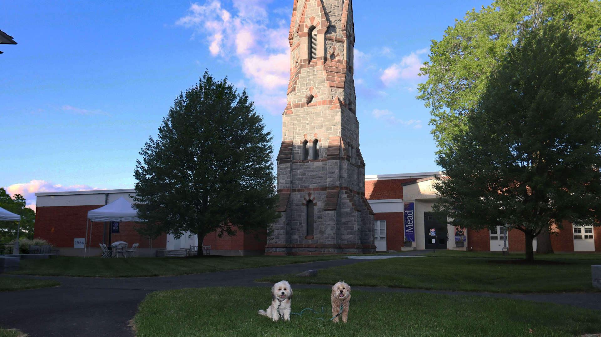 Amherst126