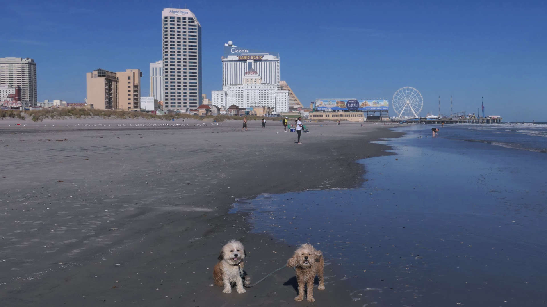 Atlantic_City48