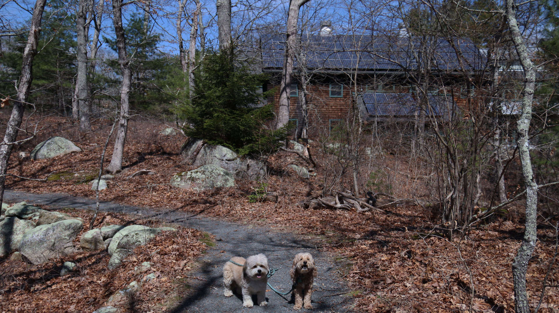 Charlestown503