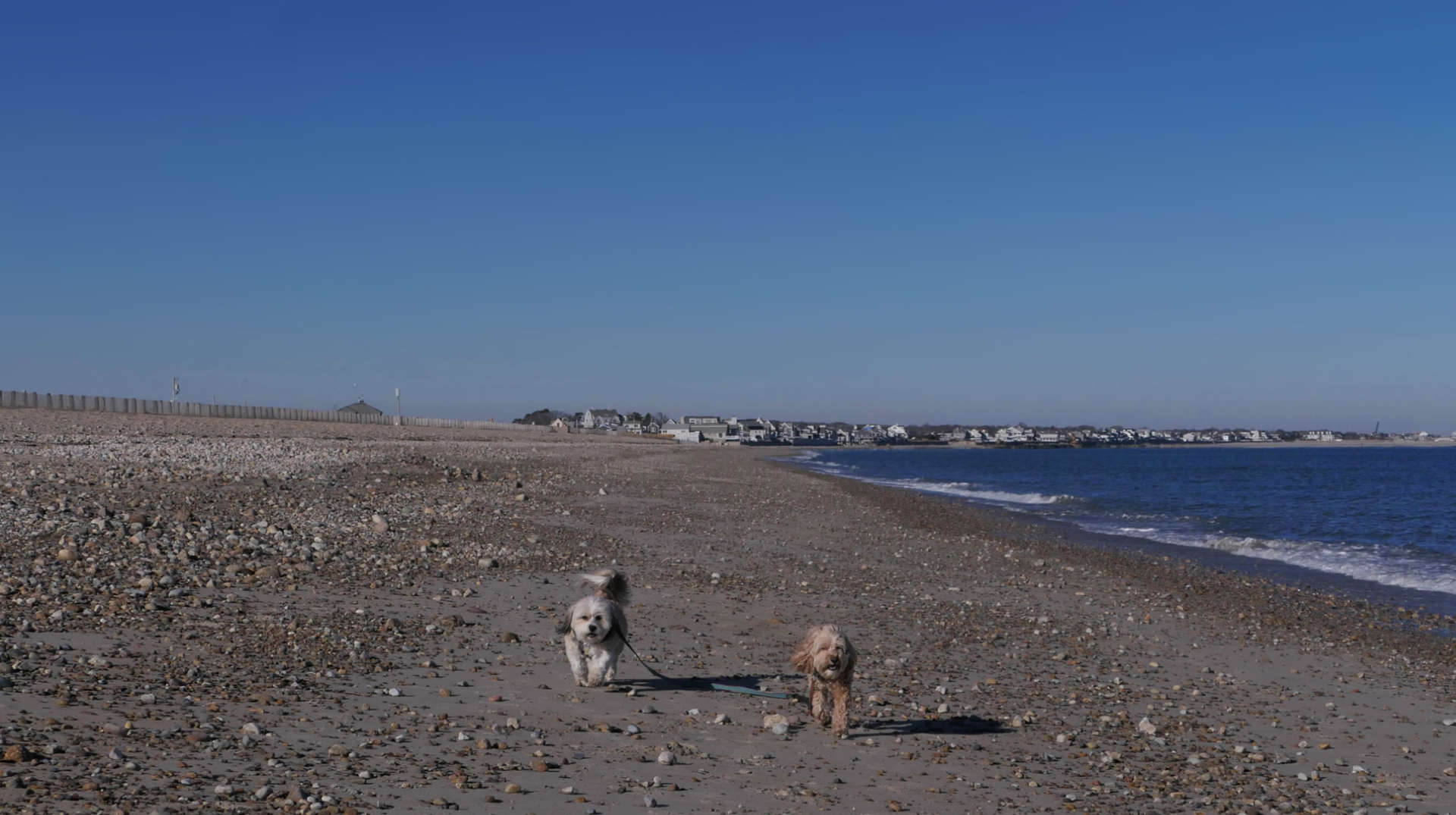 Duxbury2