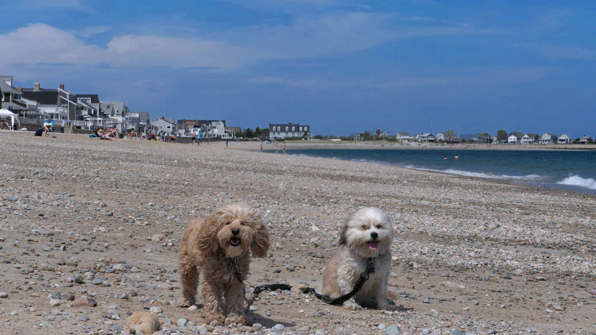 Duxbury27
