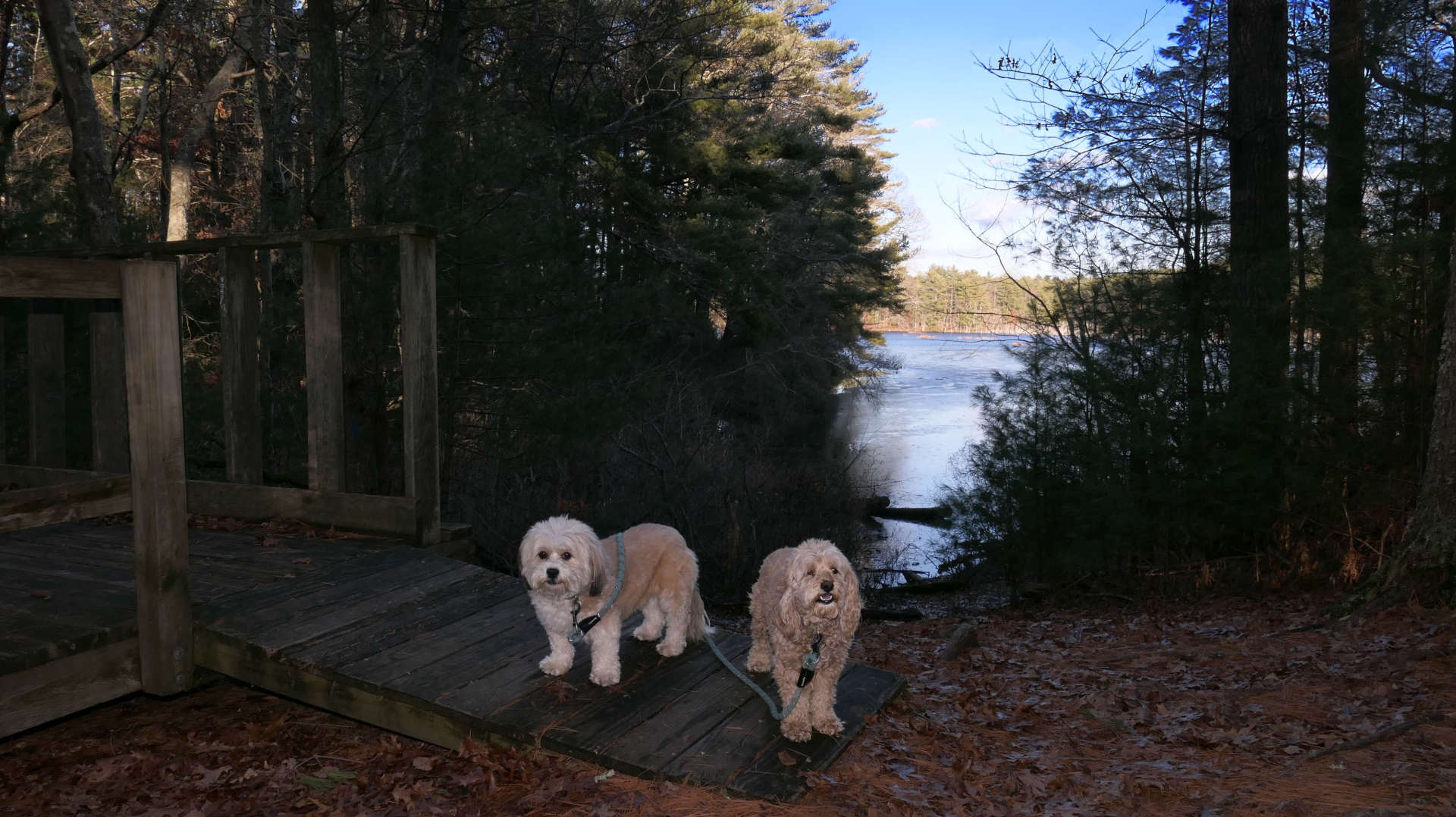 Duxbury44