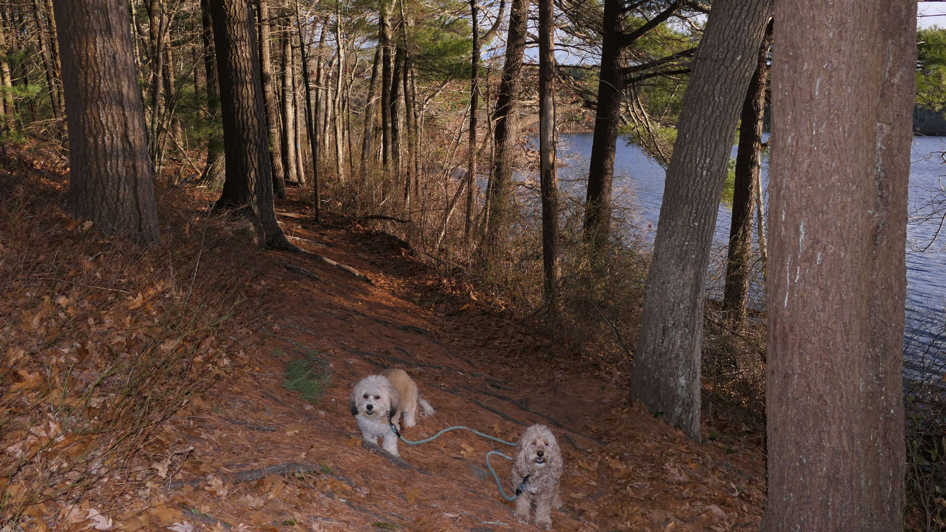 Duxbury53
