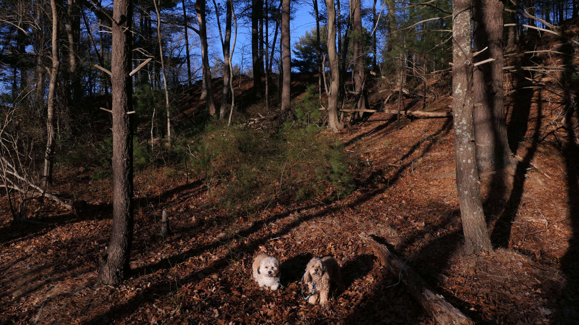 Duxbury54