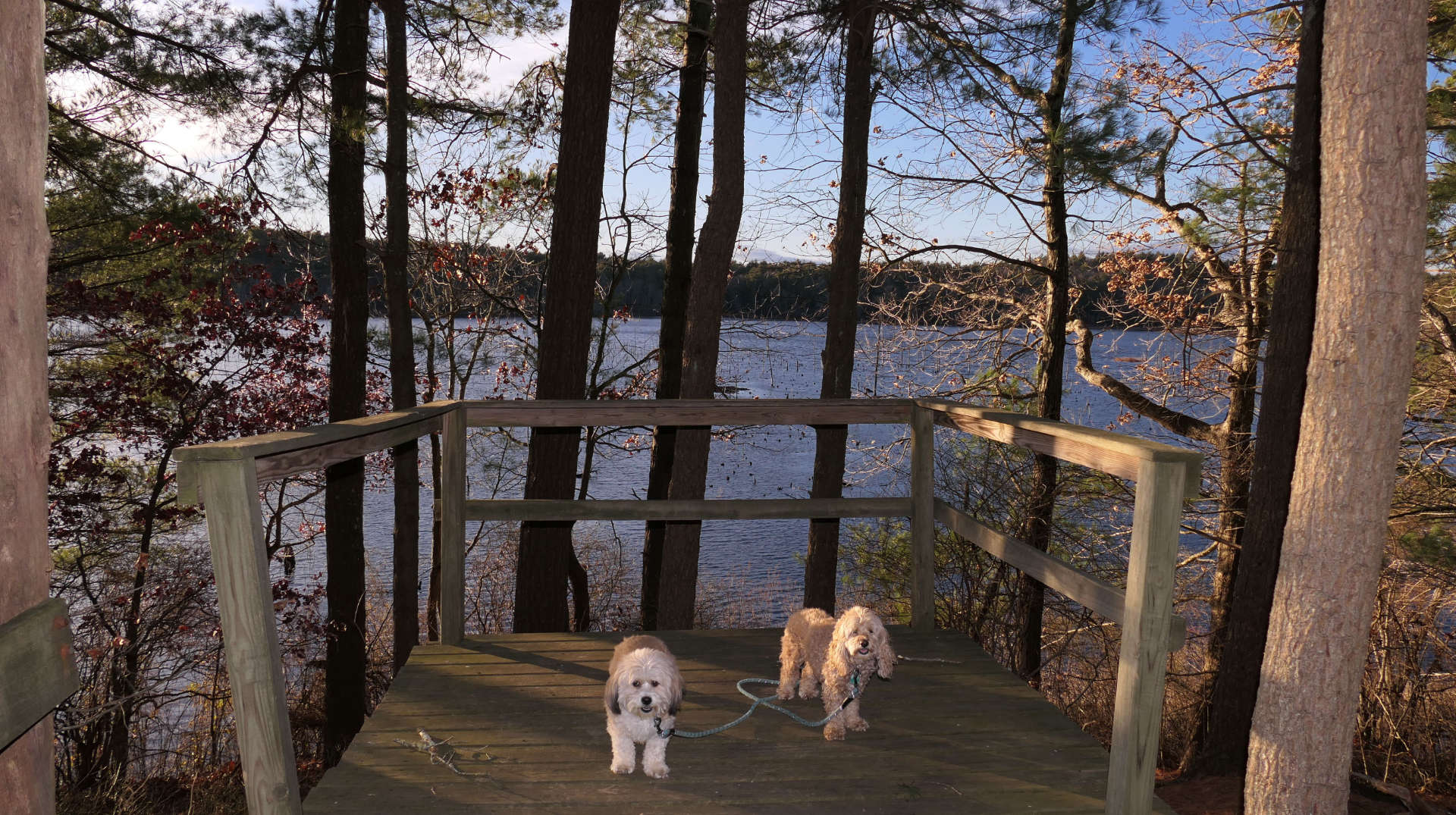 Duxbury56
