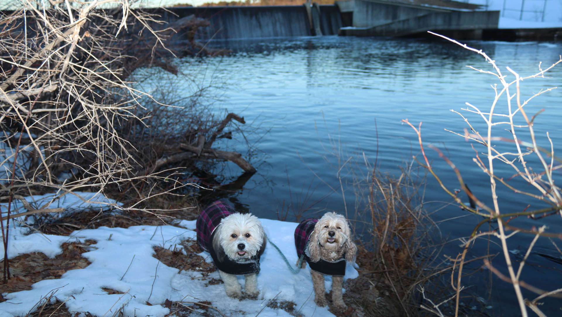 East_Providence124