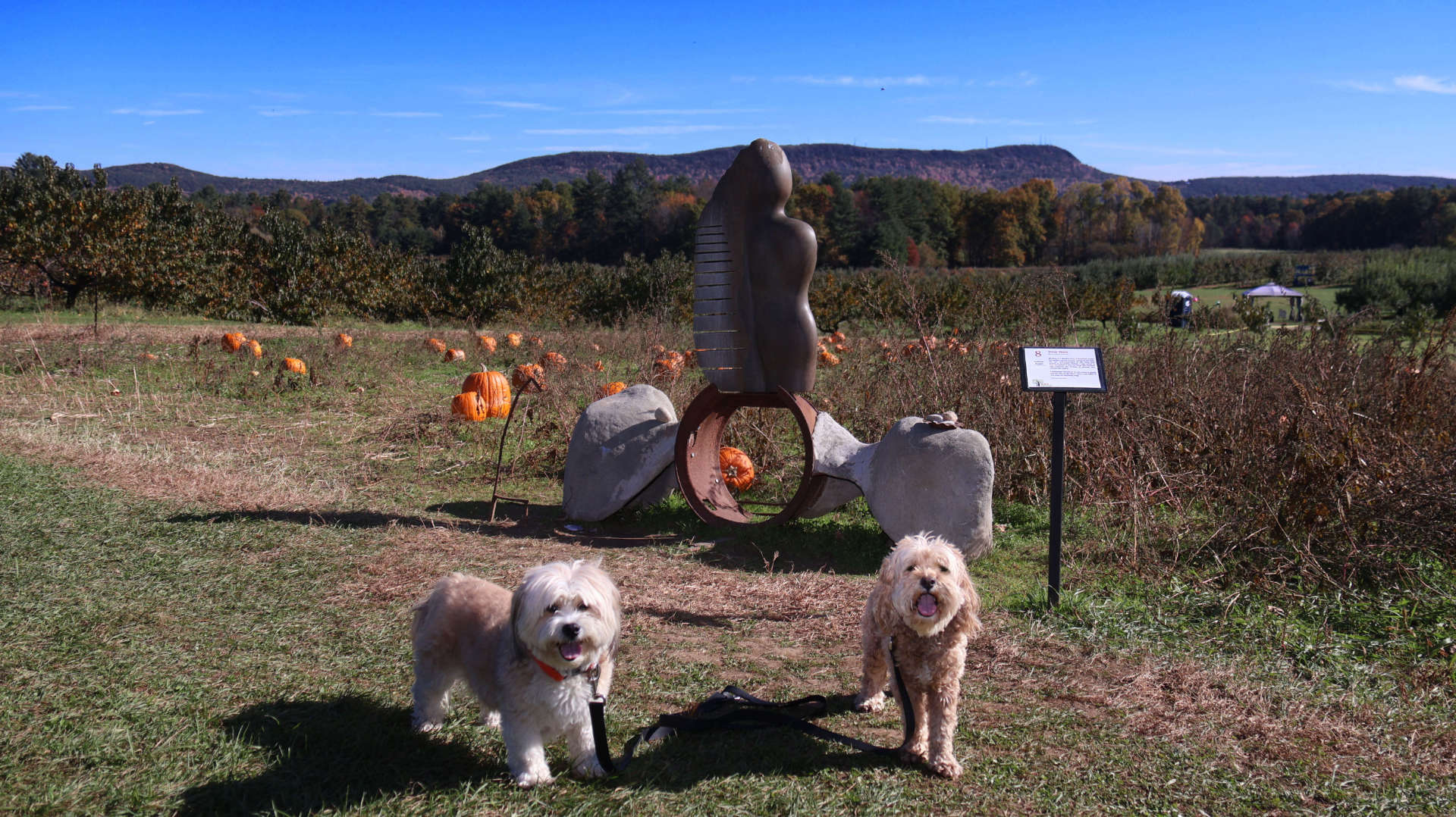 Easthampton72