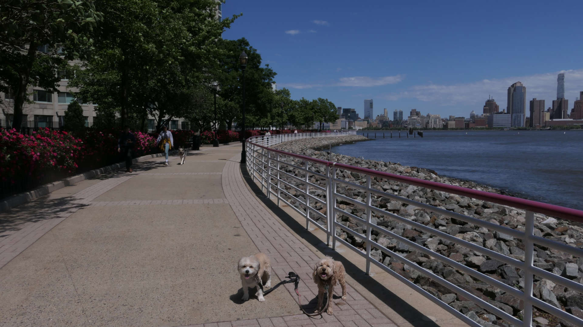 Jersey_City56