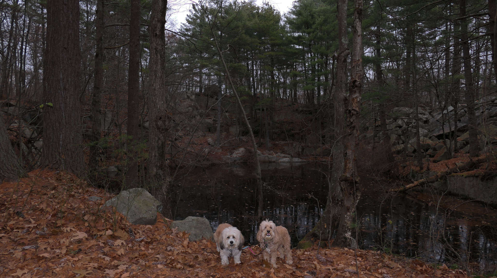 Milford5