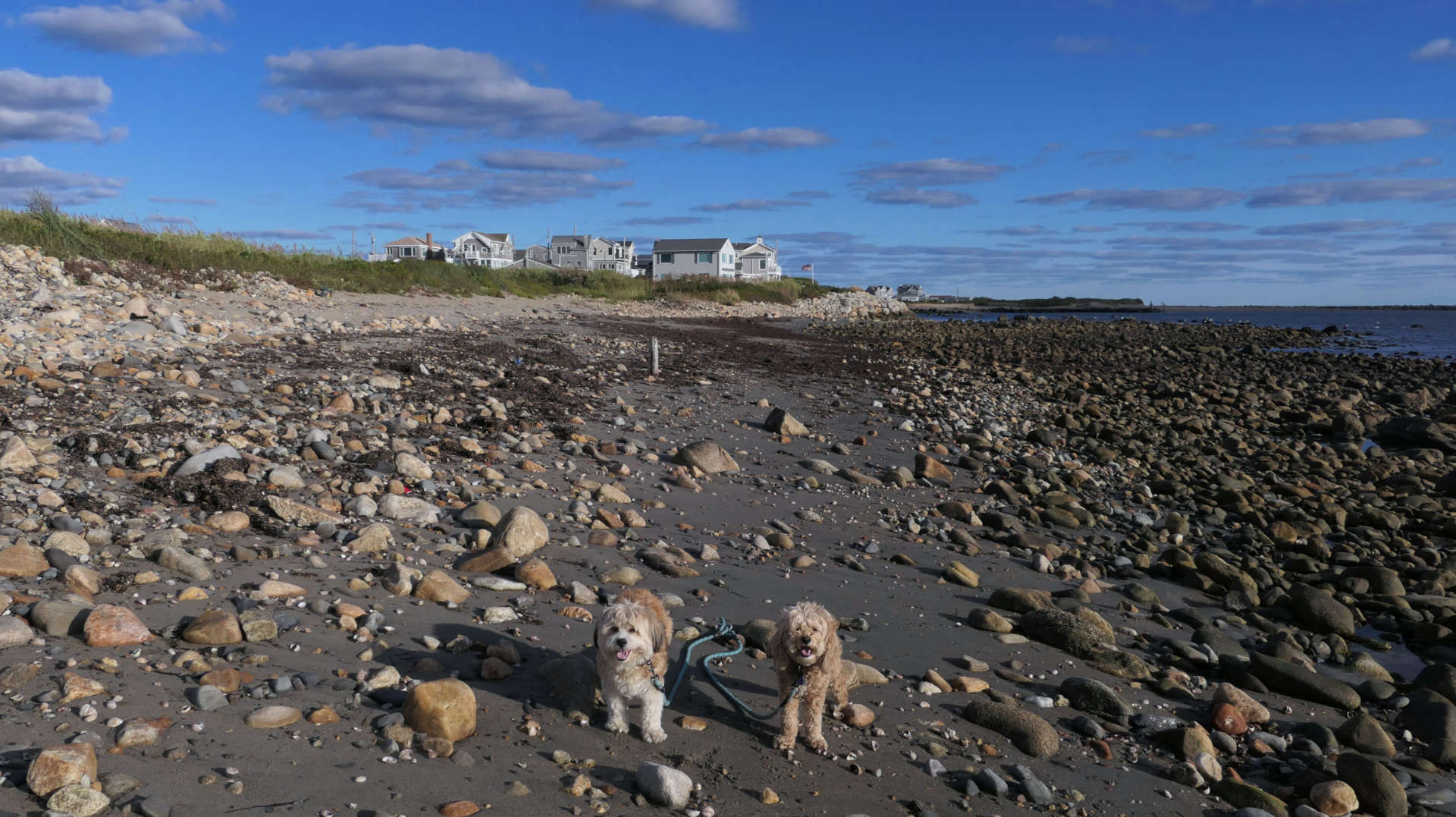 Narragansett795