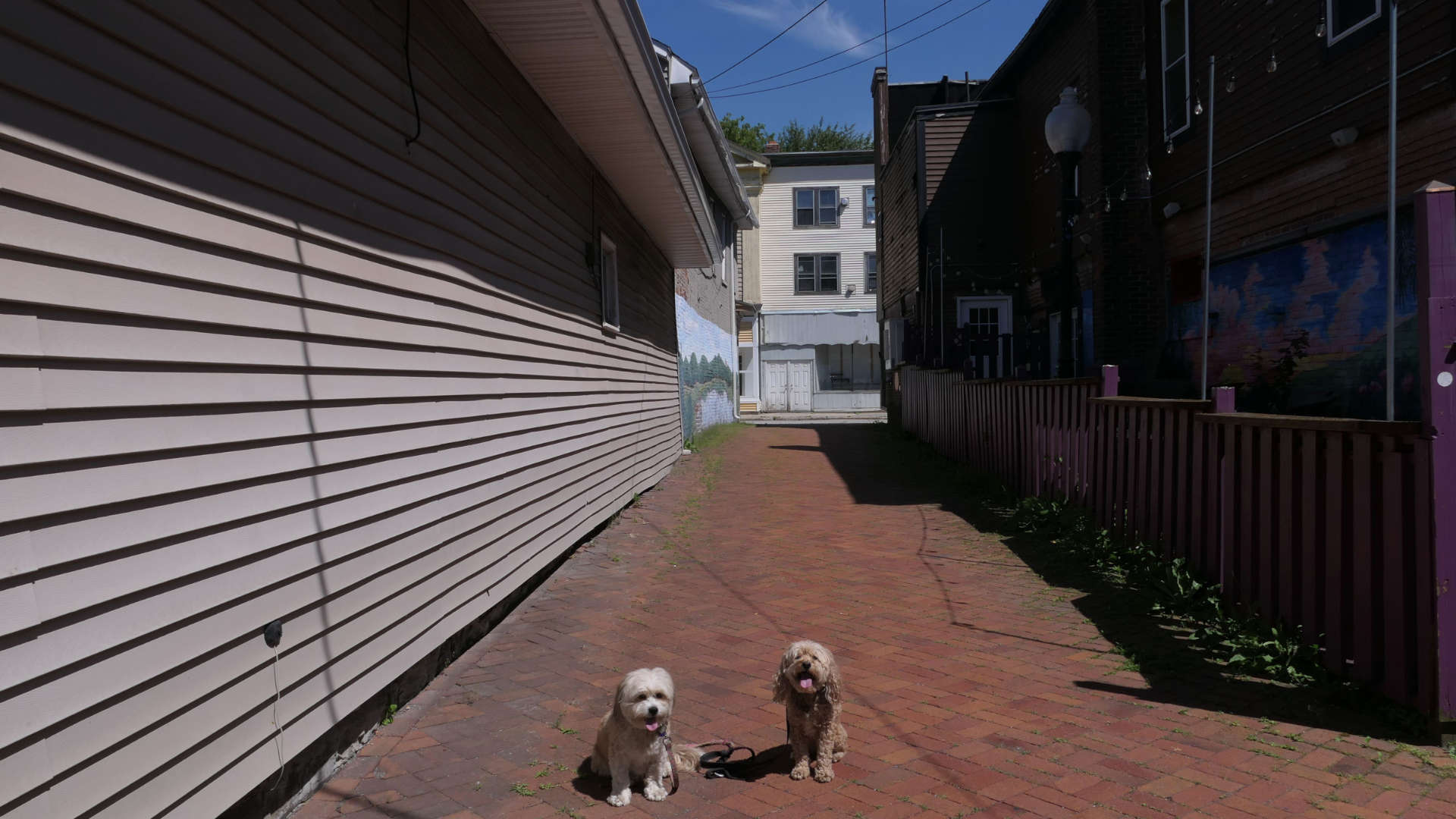 North_Adams3