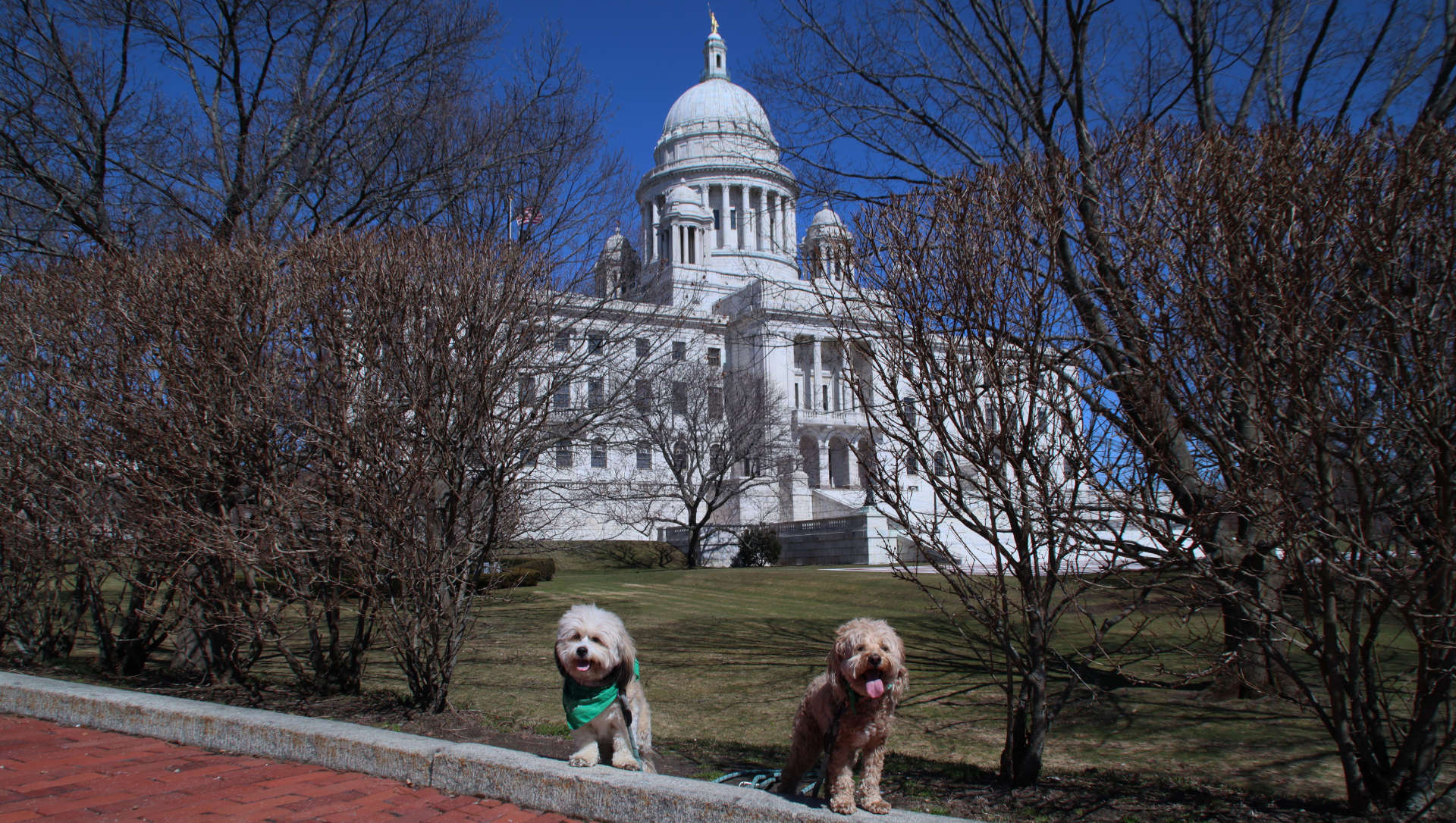 Providence368