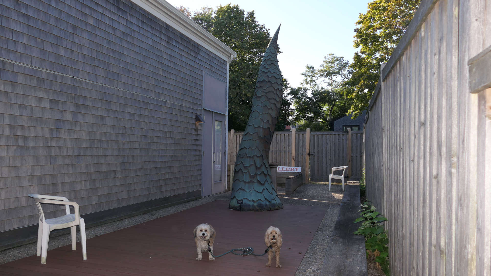 Provincetown110