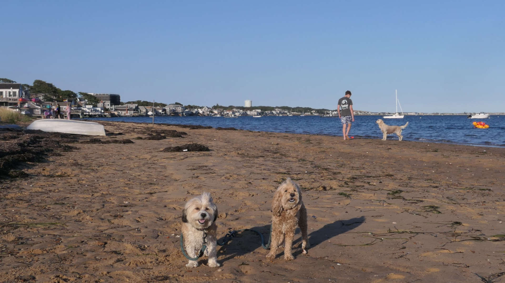 Provincetown128