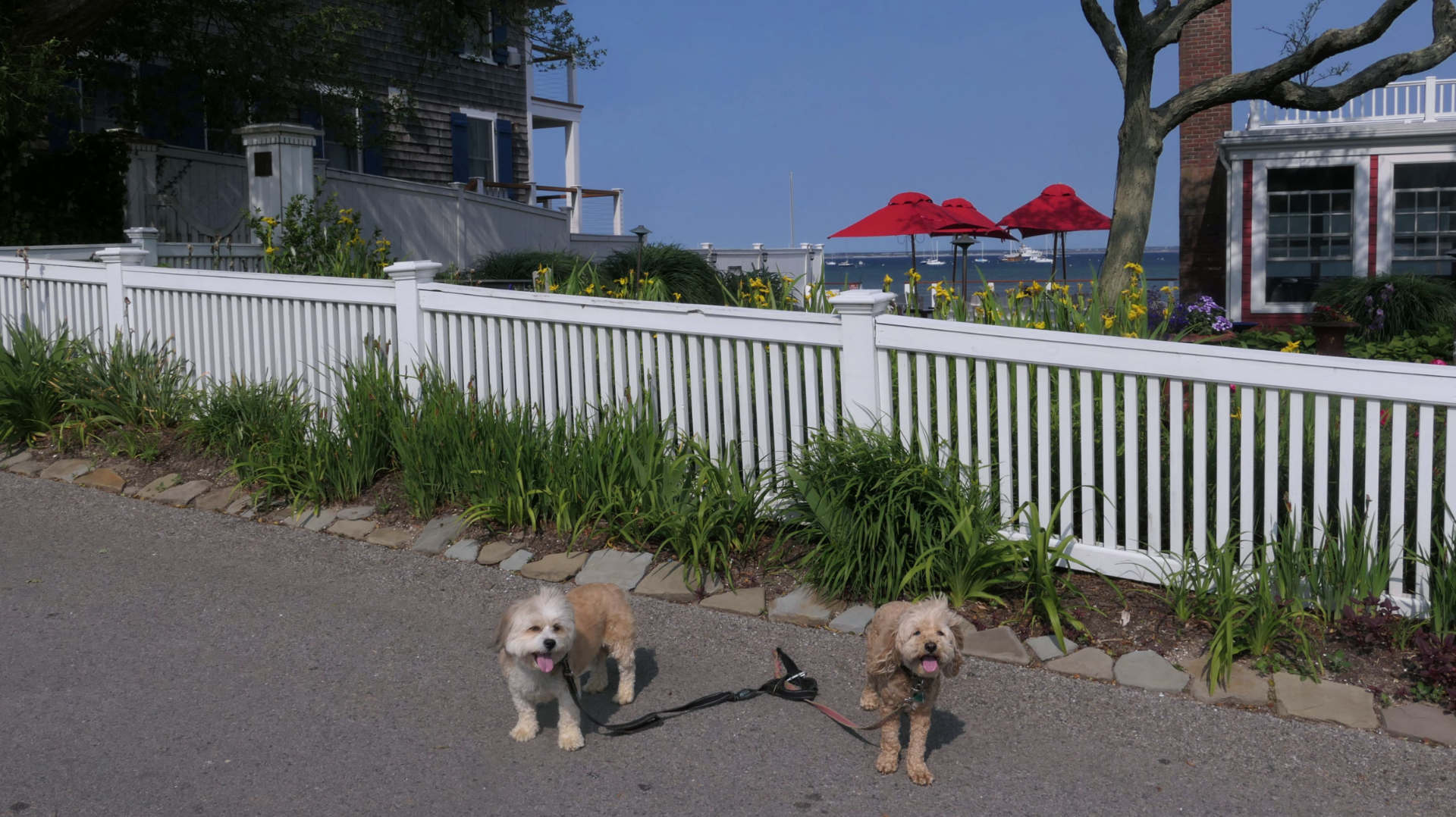 Provincetown61