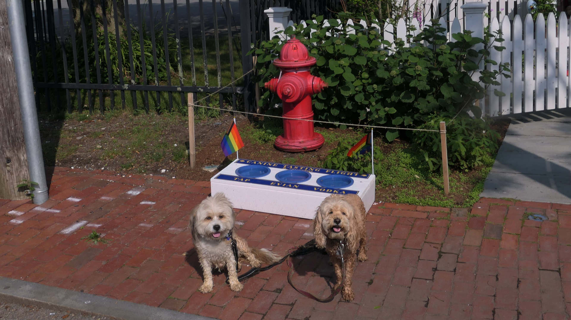 Provincetown63