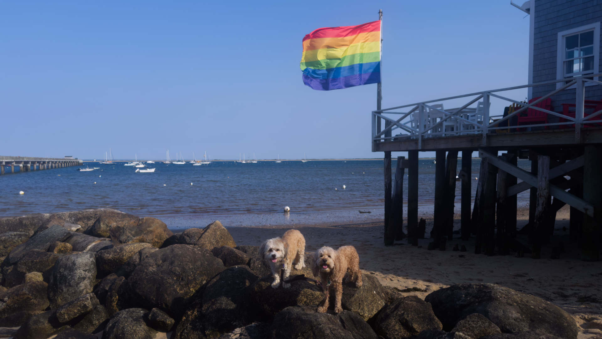 Provincetown78