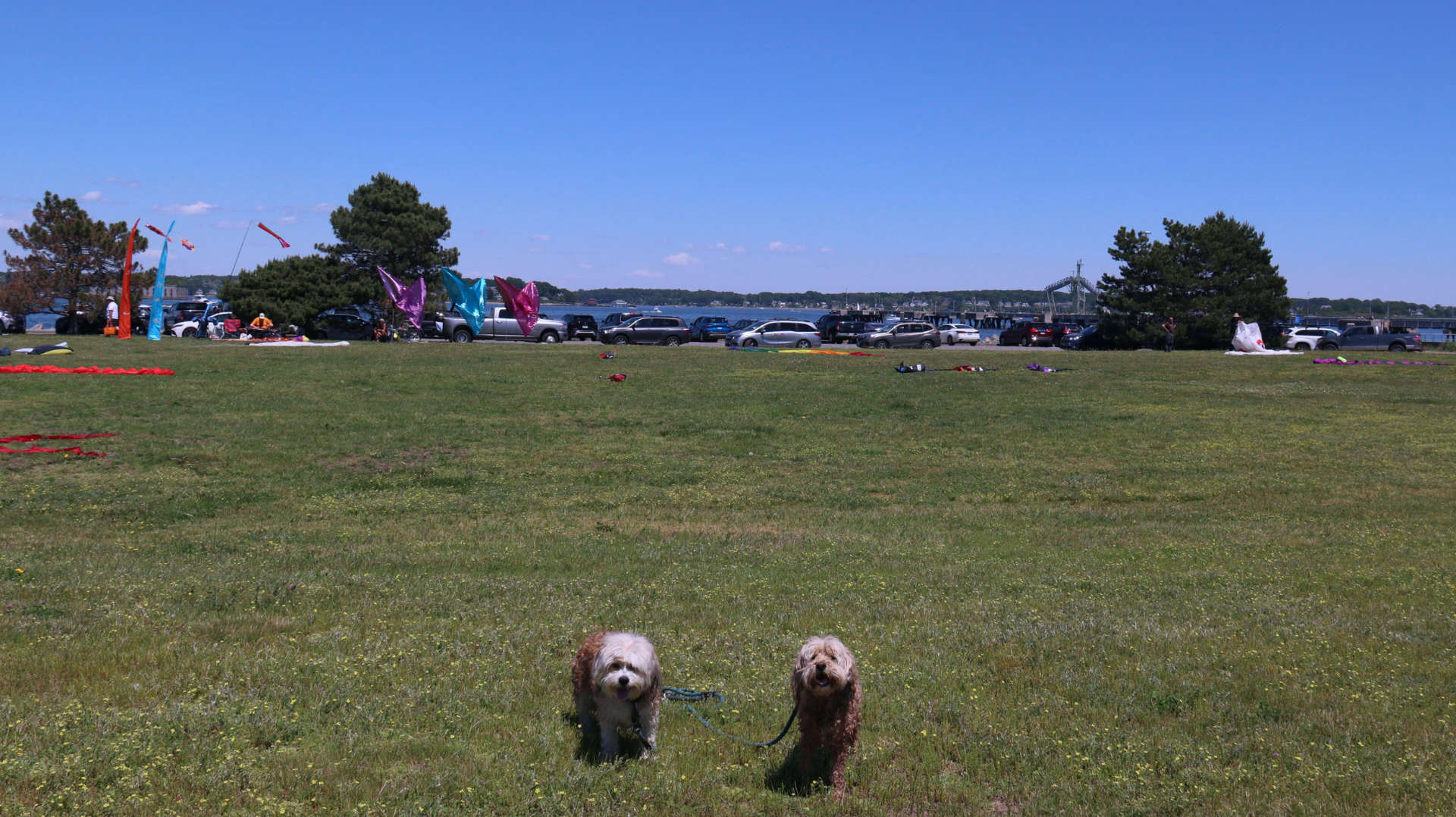 South_Portland12