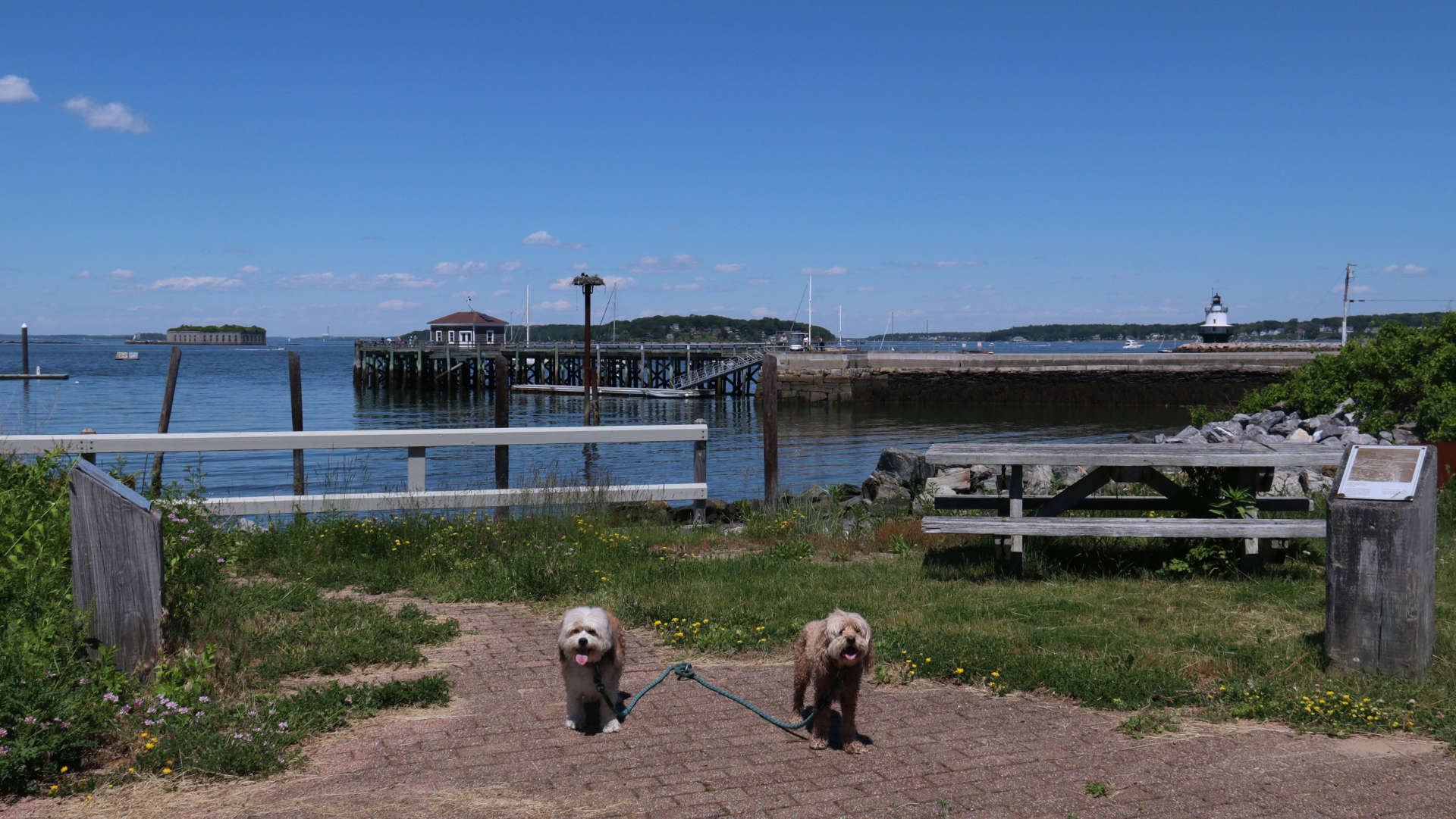 South_Portland21