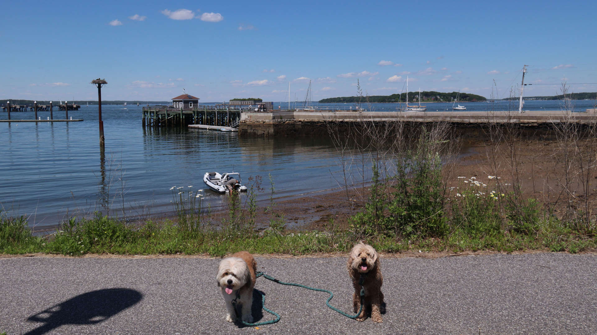 South_Portland22