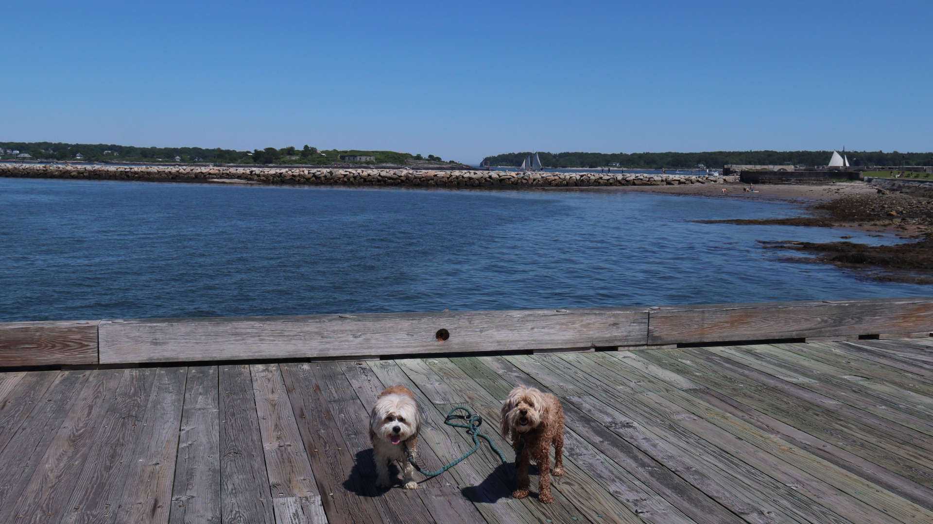 South_Portland27