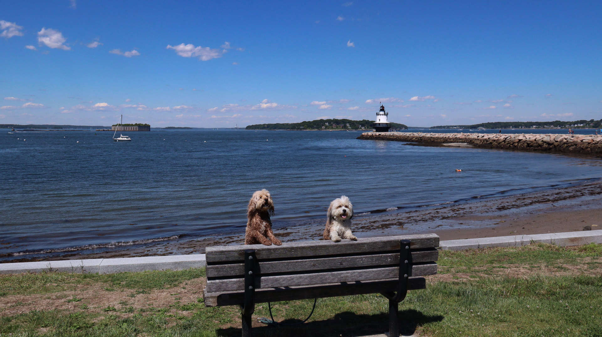 South_Portland29