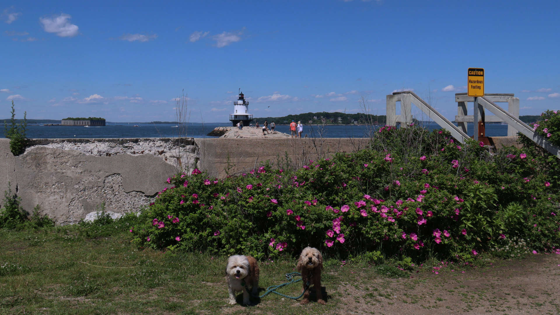 South_Portland30