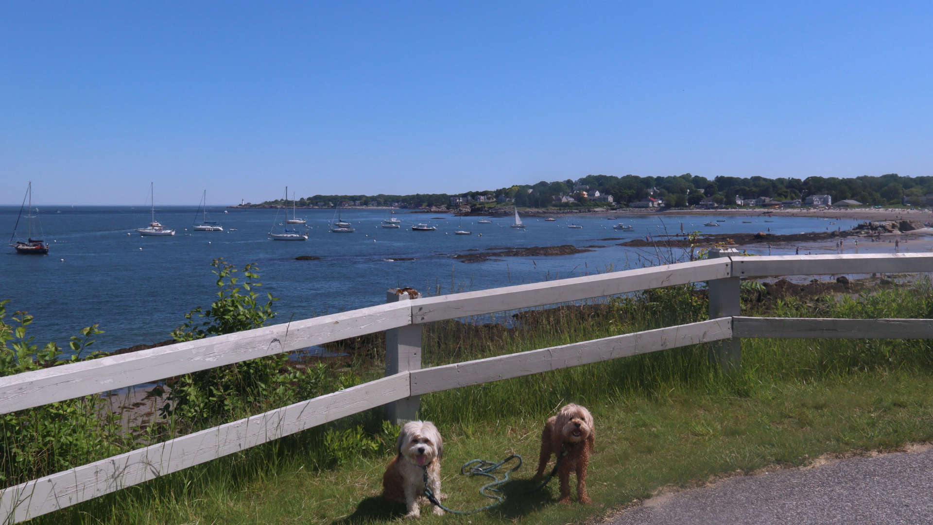 South_Portland34