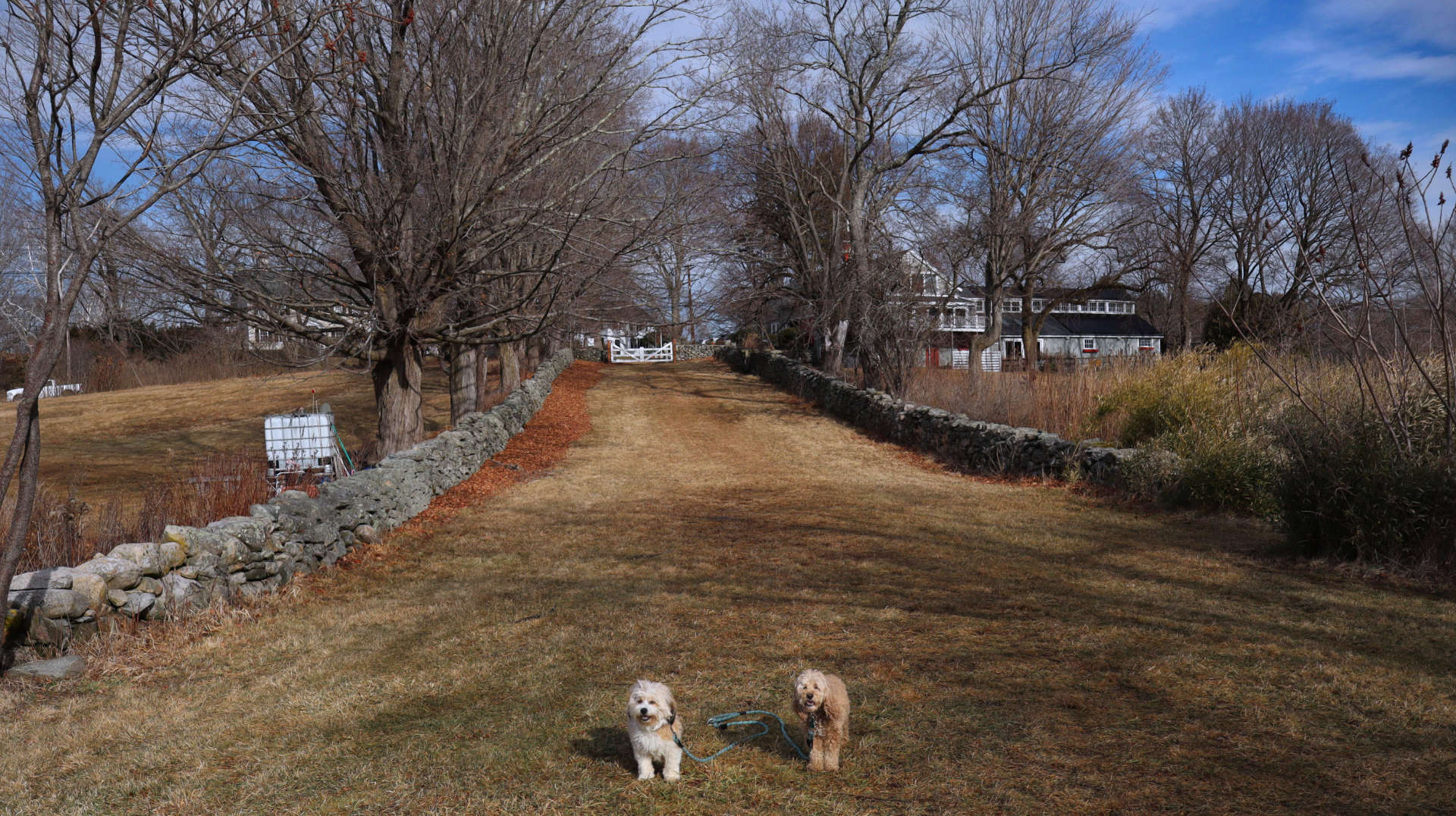 Southborough6