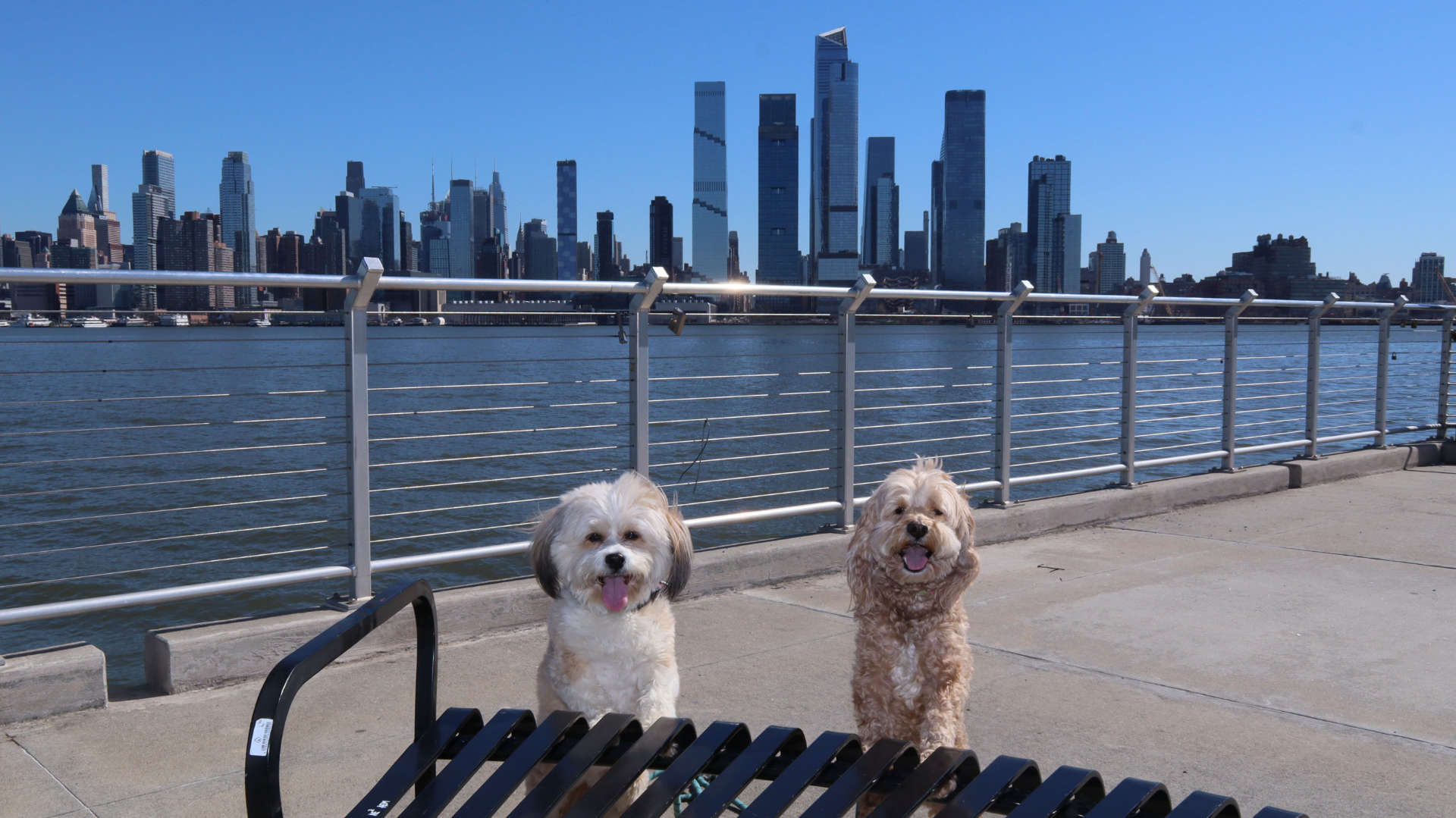 Weehawken