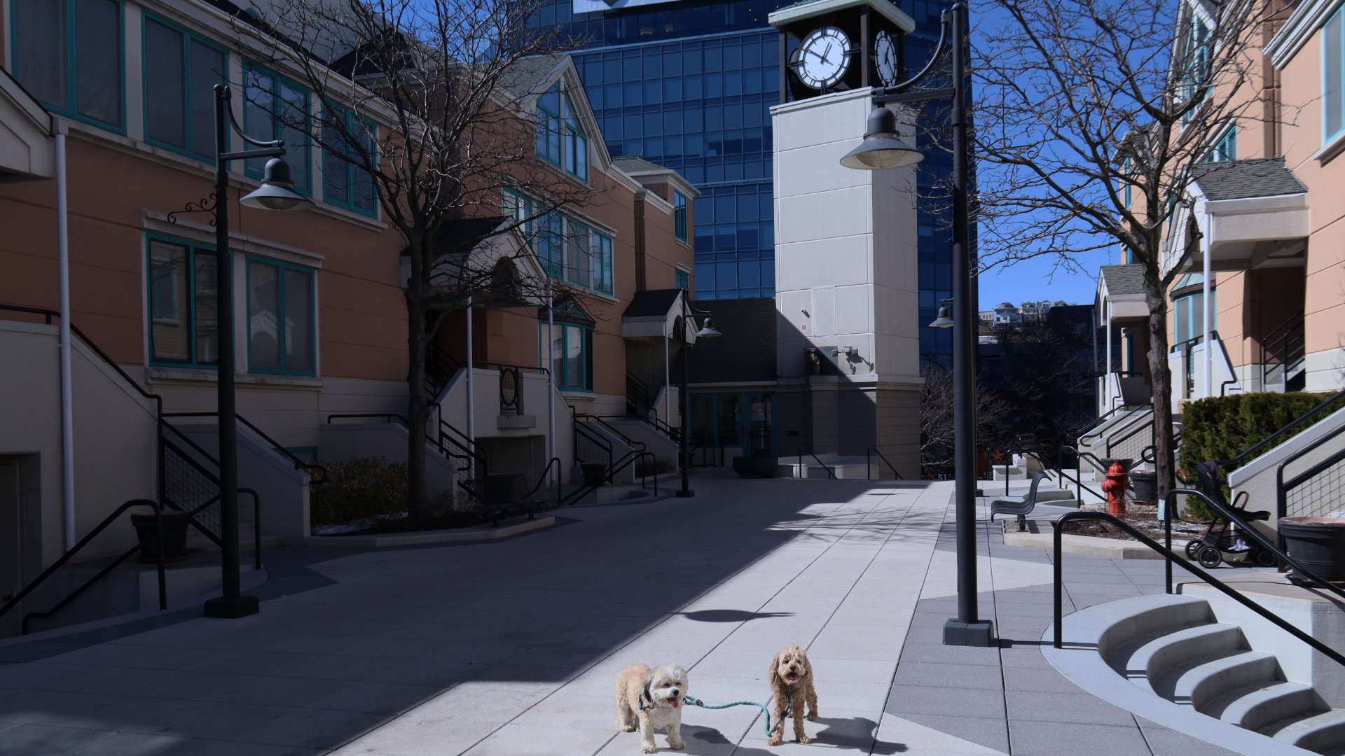 Weehawken14