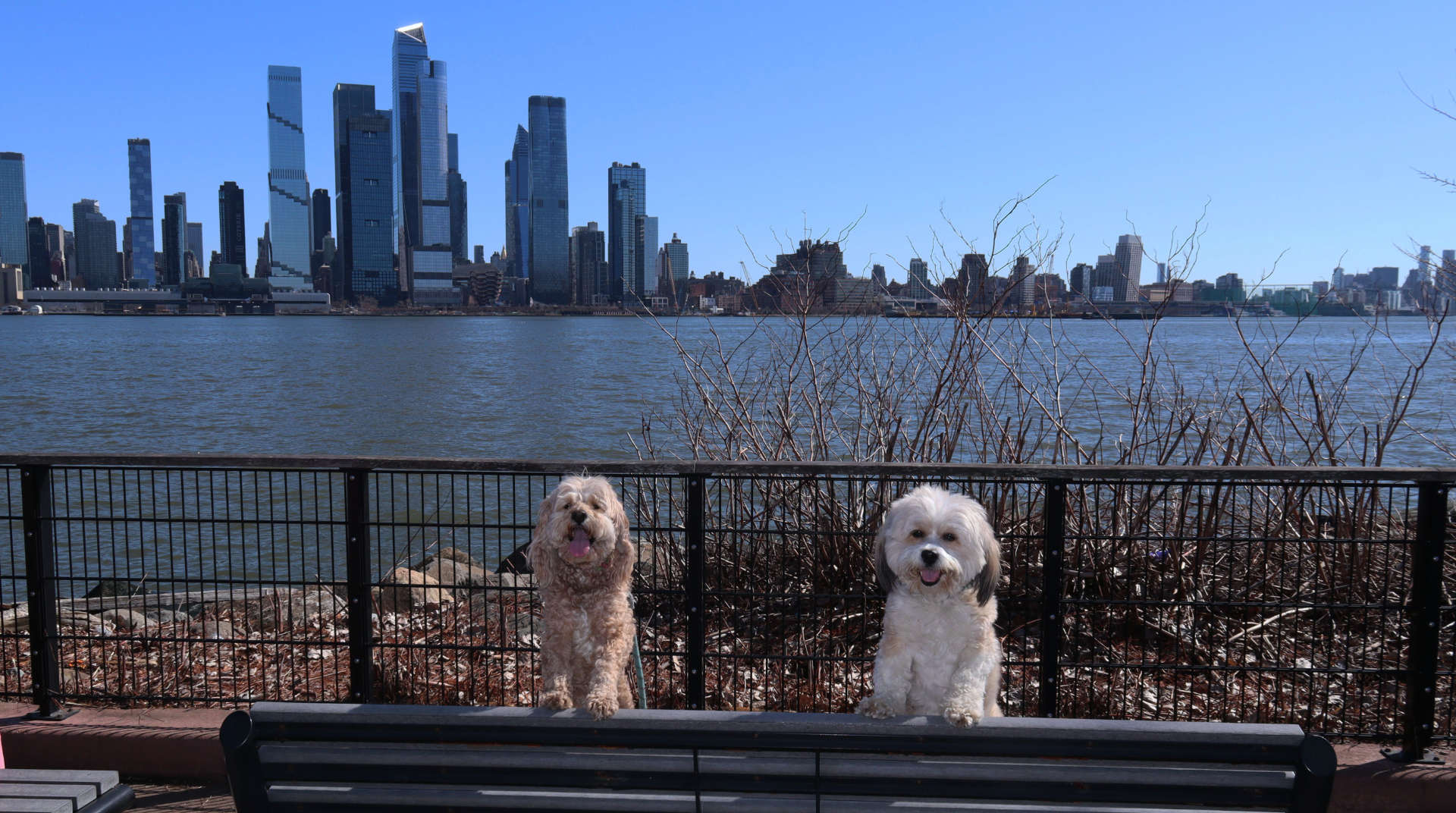 Weehawken16