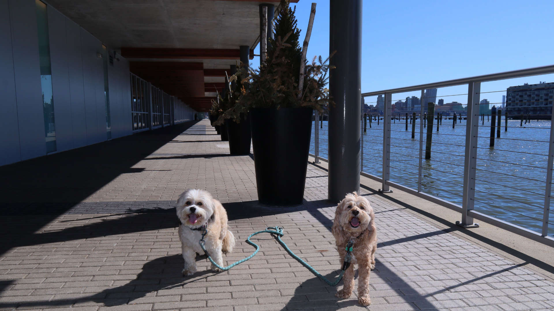 Weehawken20