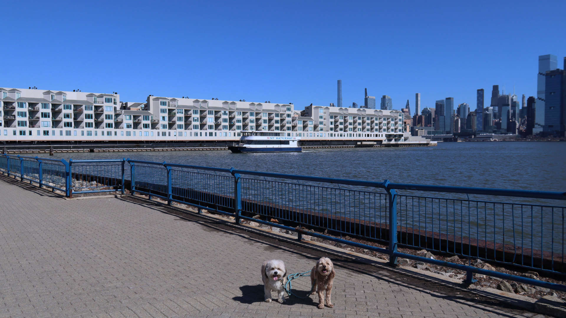 Weehawken21