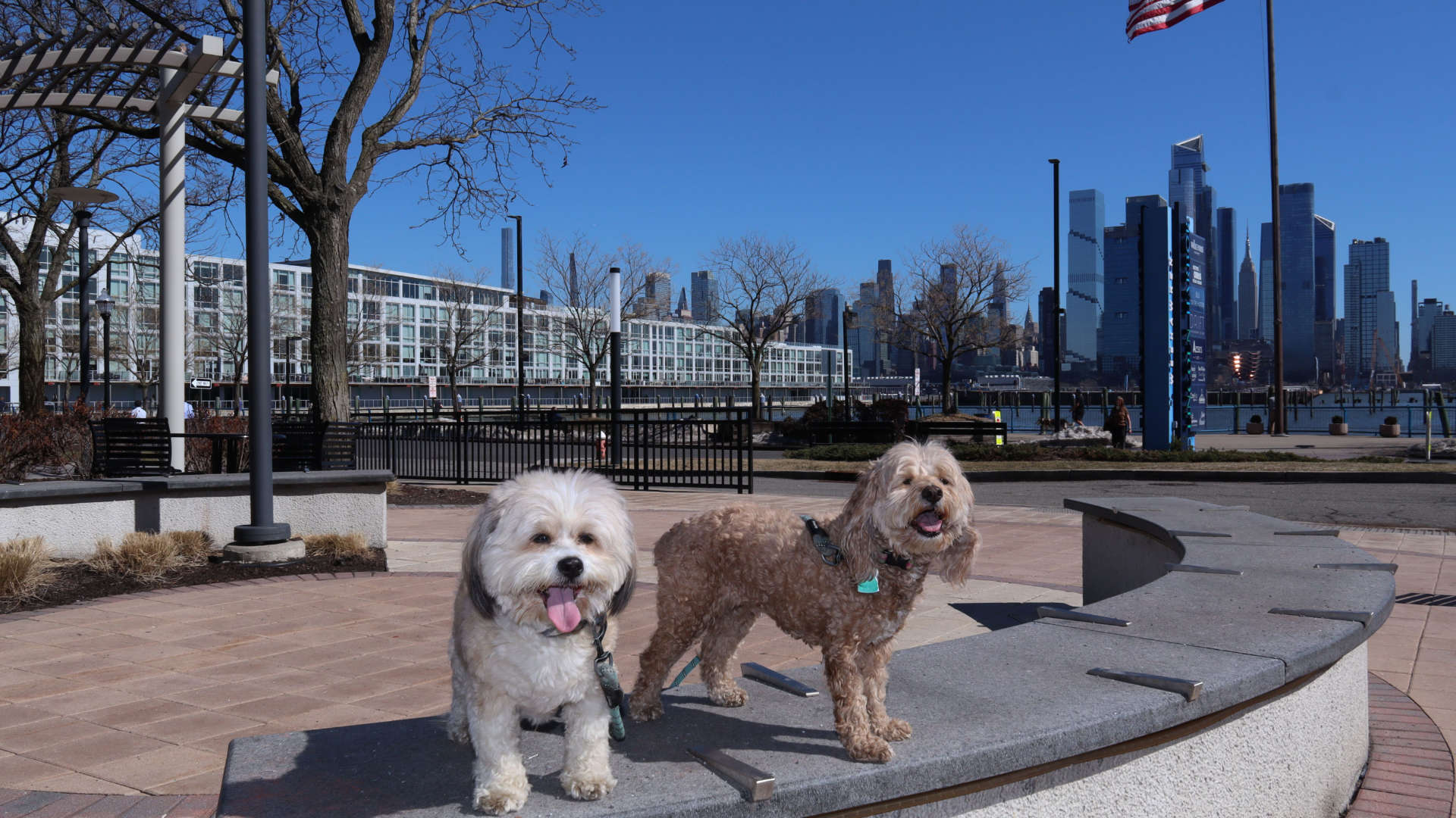 Weehawken24