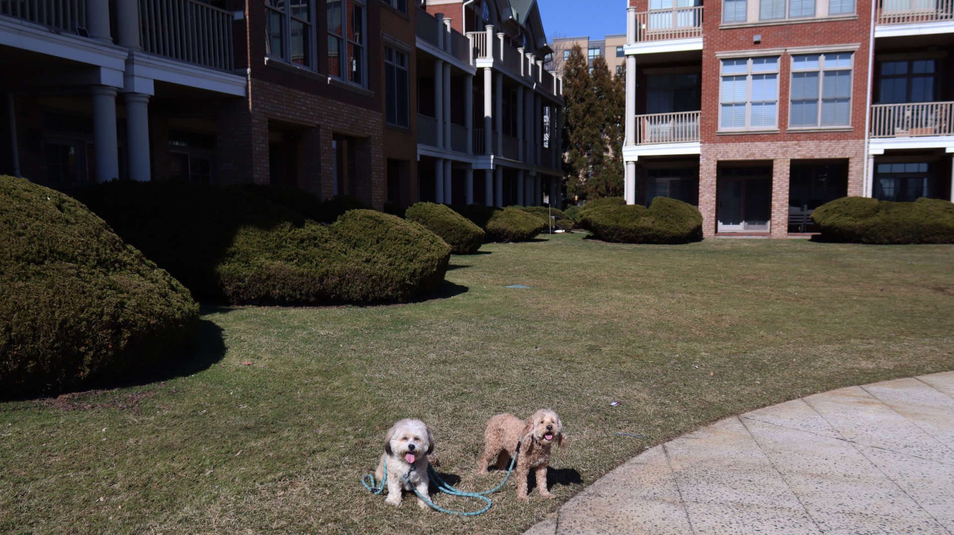 Weehawken29