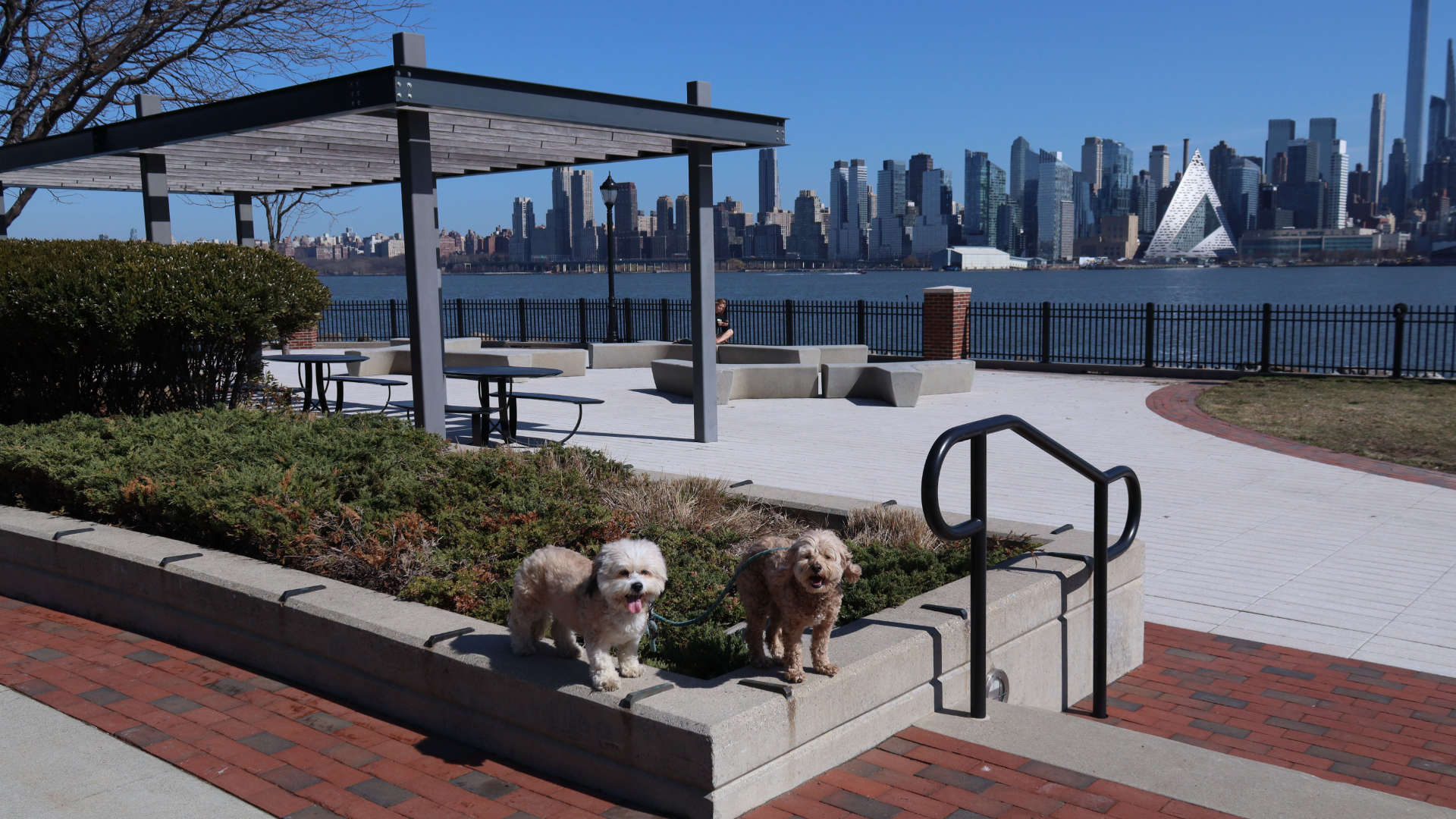 Weehawken37