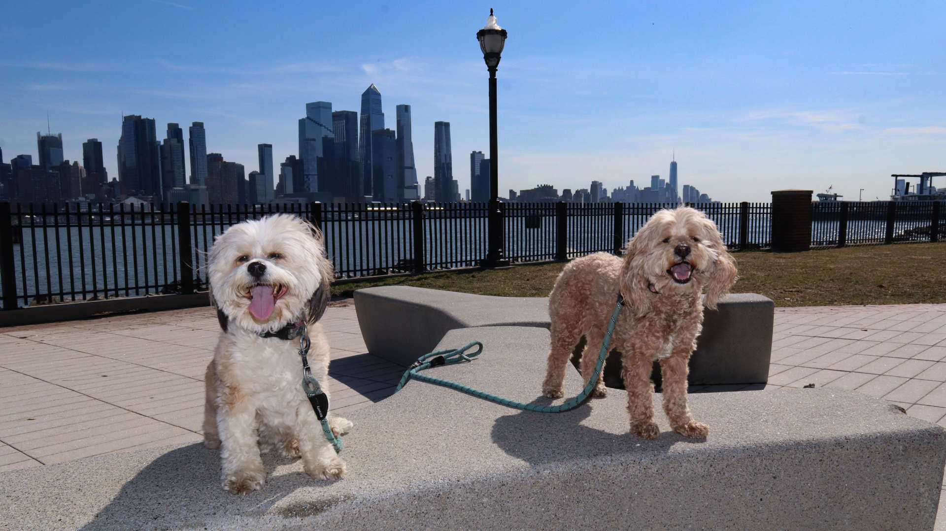 Weehawken38