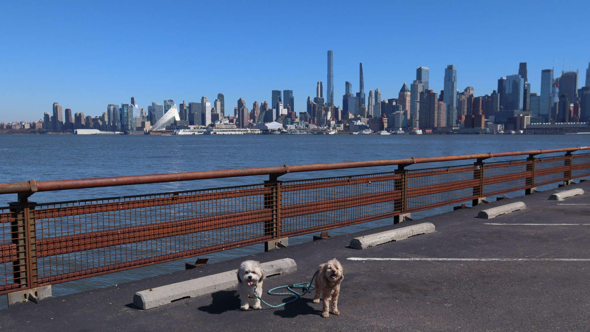 Weehawken6
