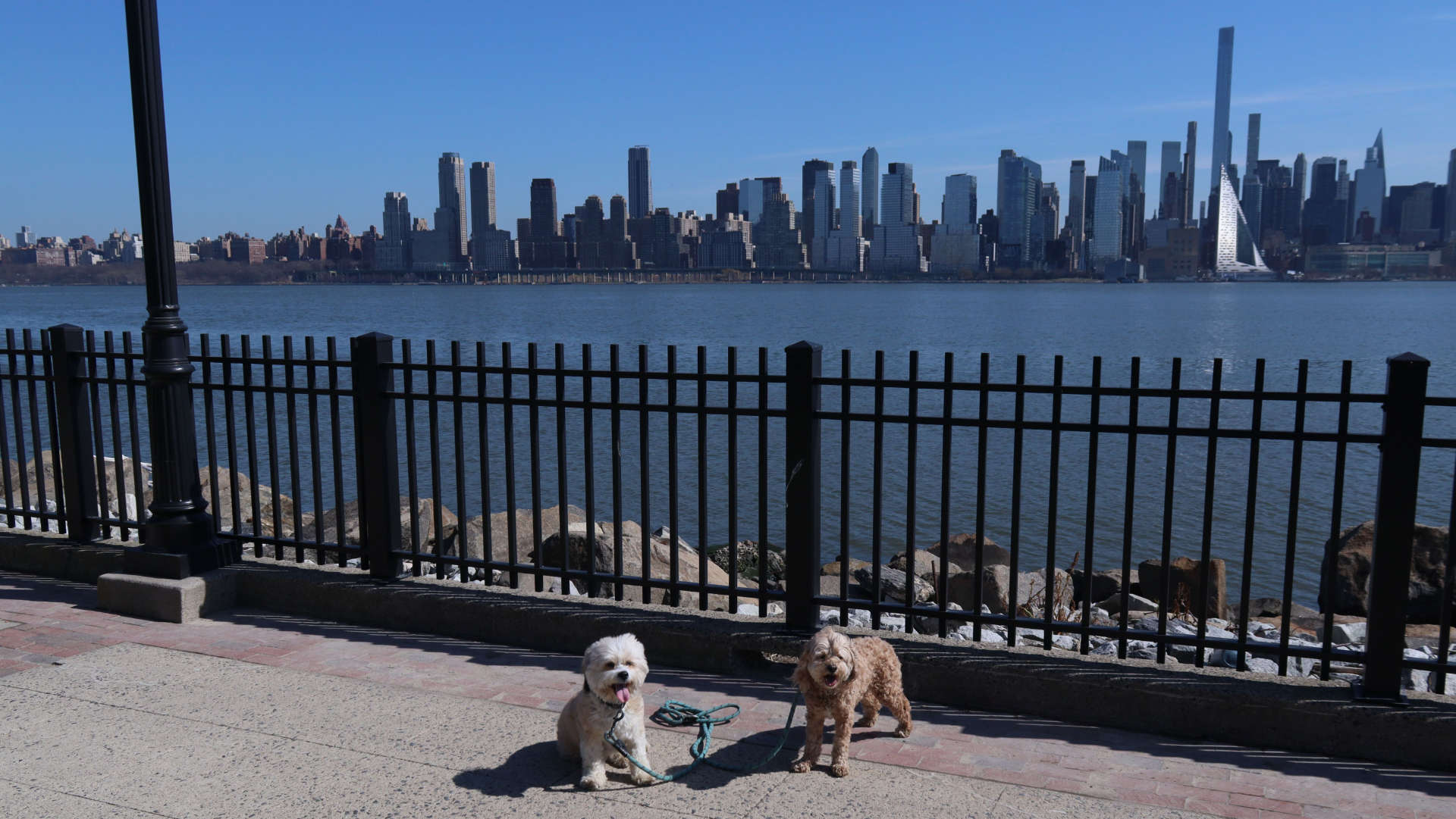 West_New_York12