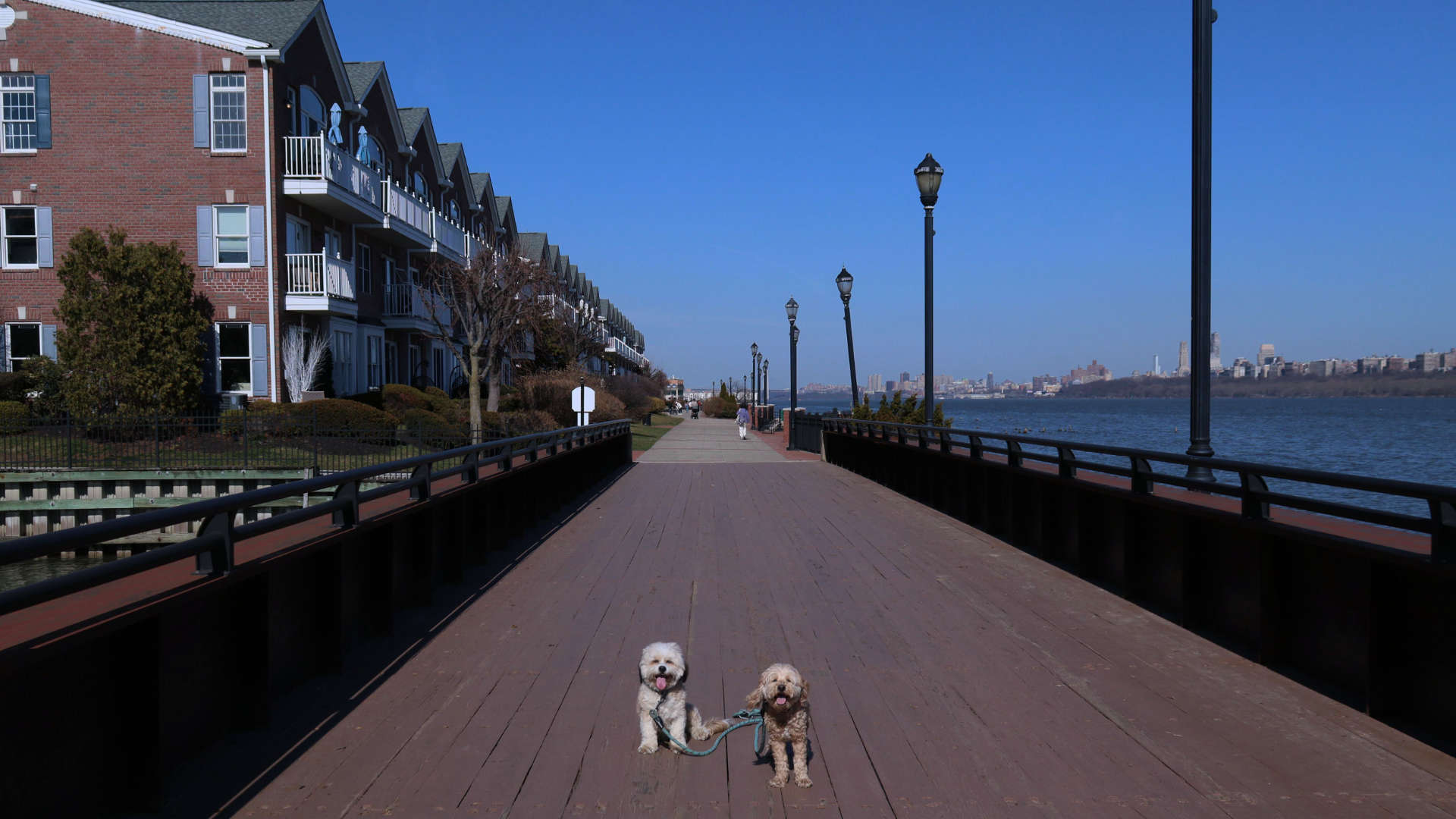 West_New_York15