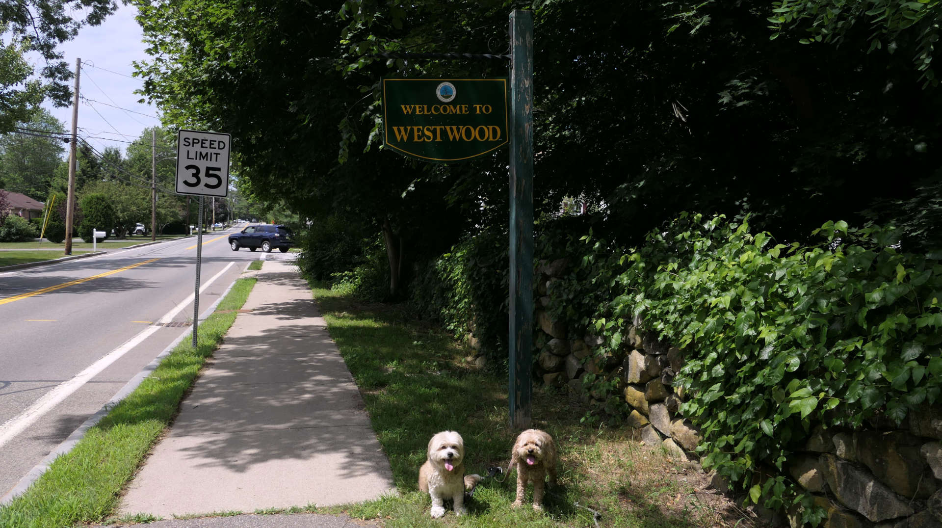 Westwood2