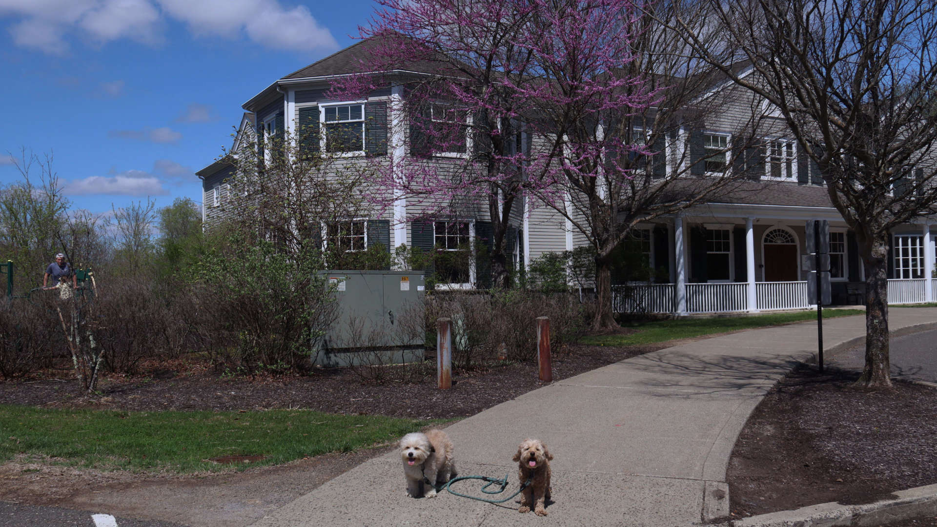 Ridgefield37