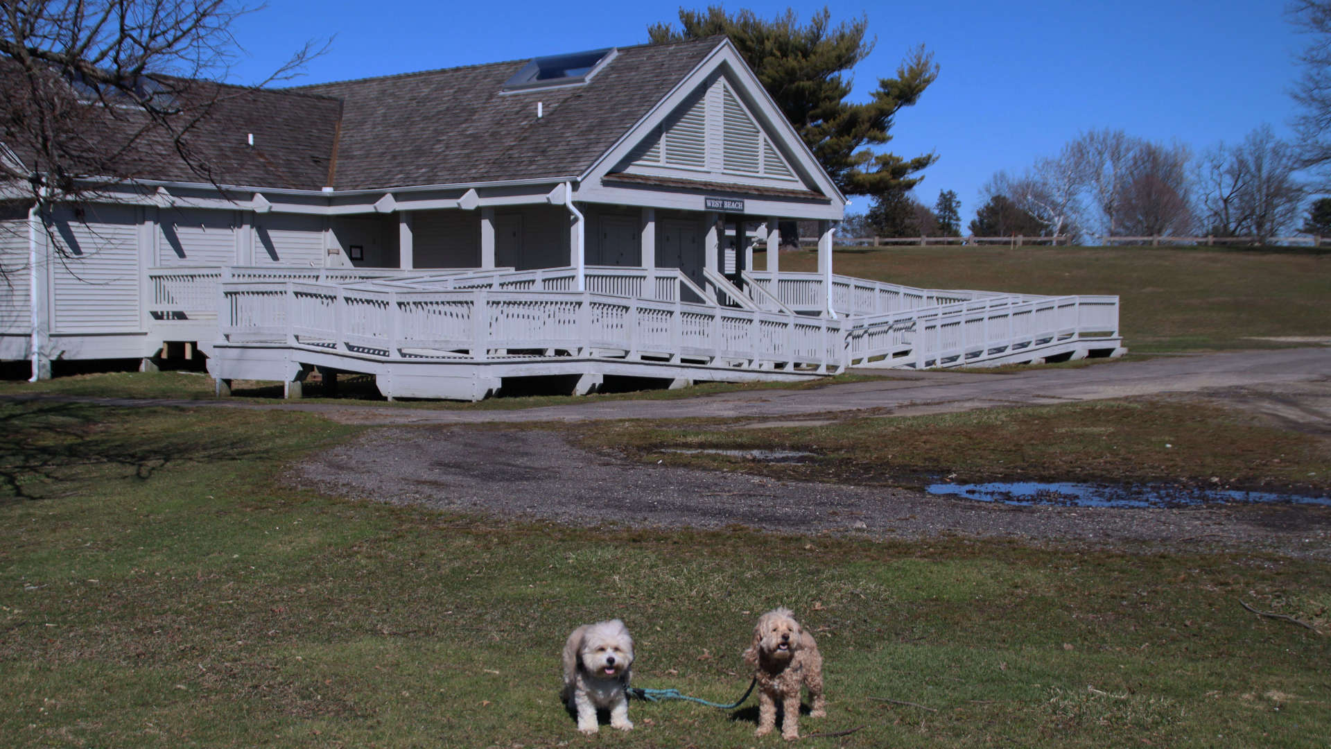 Westport109